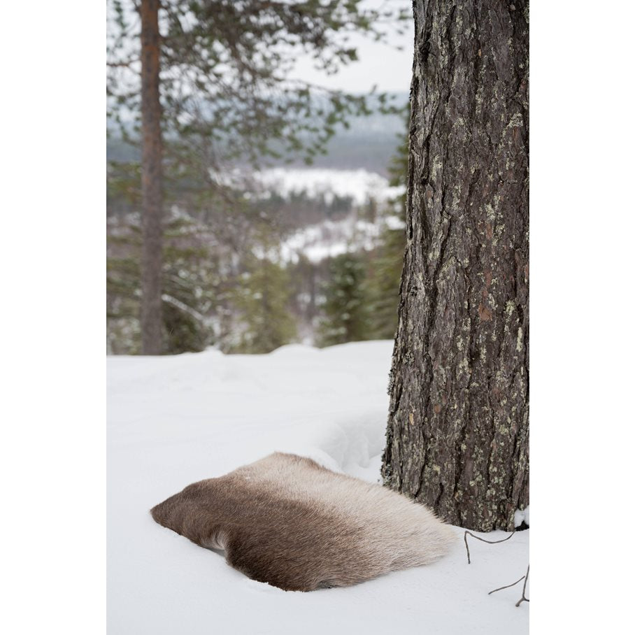 Sittlapp av renfäll med behandlad baksida EN STL