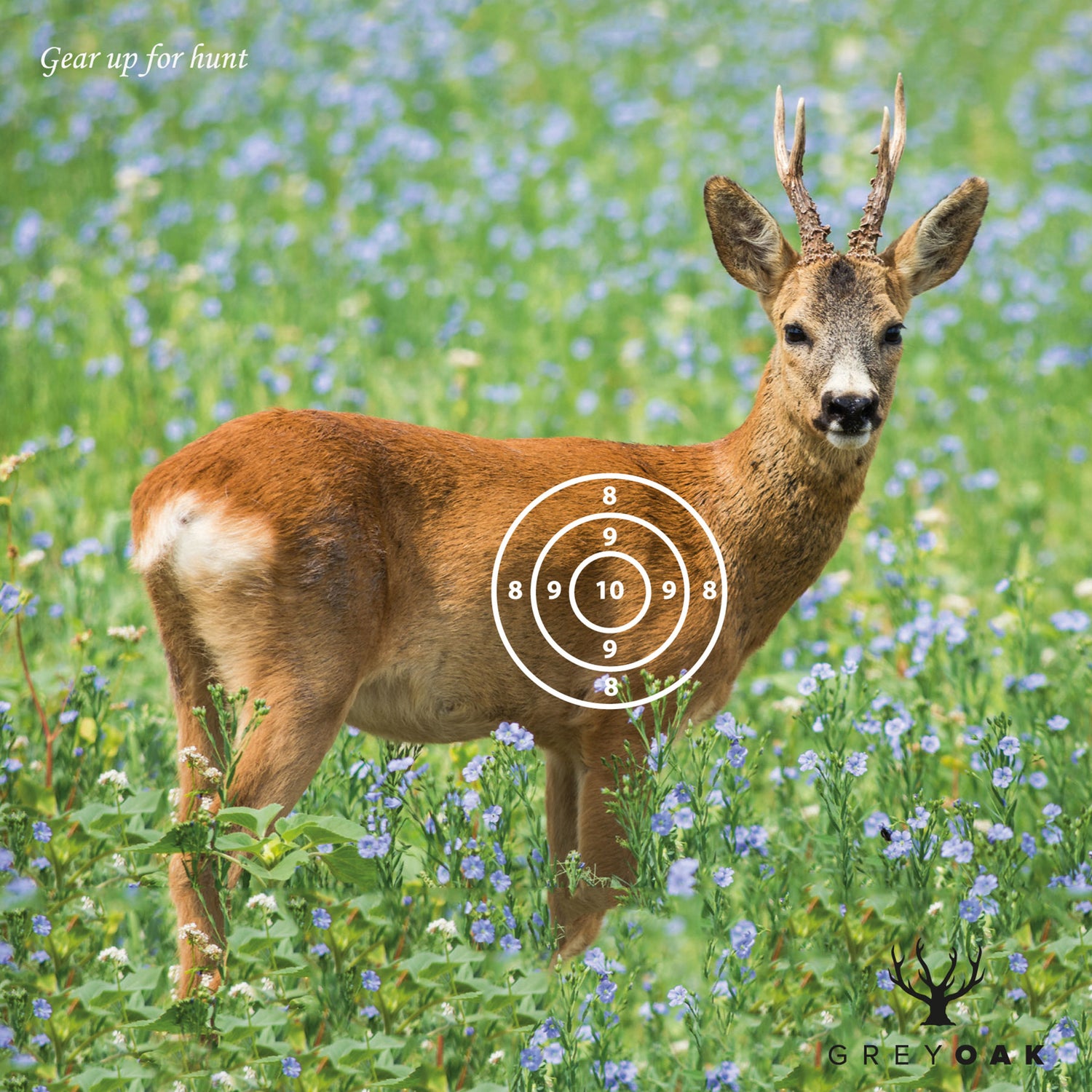 Måltavla för luftgevär/ Djurmotiv MULTICOLOR / 50-PACK