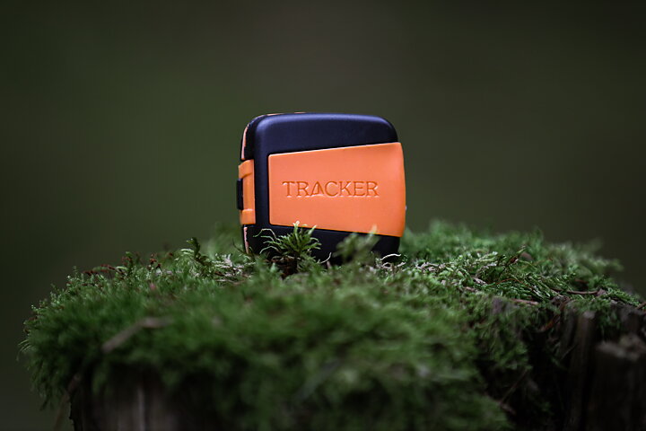 Bark hundpejl EN STL