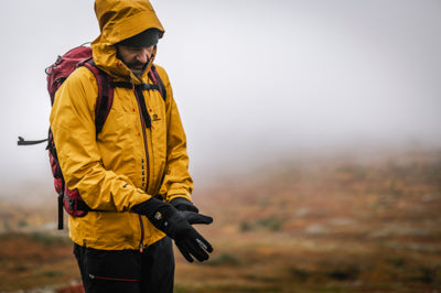 Merino Windwool Liner BLACK / 6