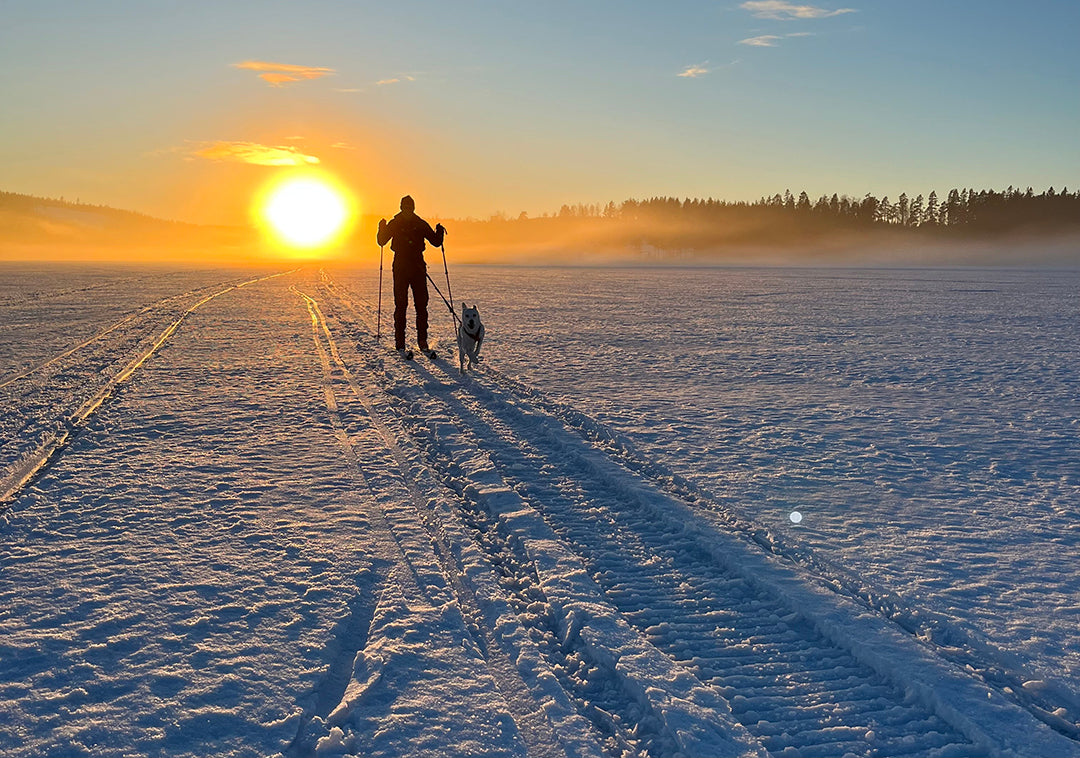 Breidablikk Hunter BC WL/FL Turskidor Vallningsfria - utan stålkant 170