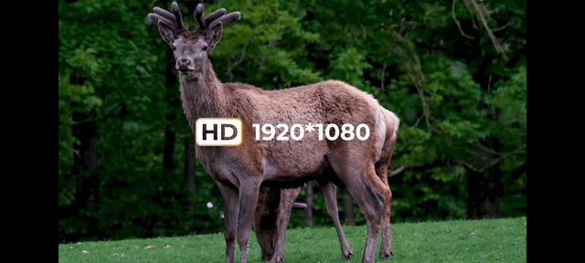 DNT Zulus HD 5-20x LRF Mörkersikte Med Laseravståndsmätare 1 ST