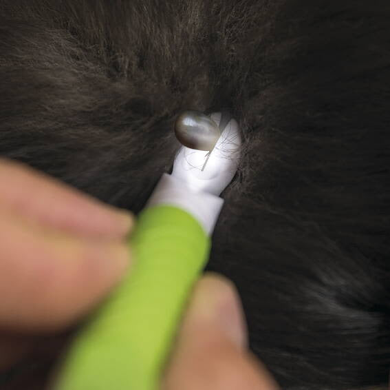 Fästingplockare, penna med LED belysning, 14 cm 14 CM