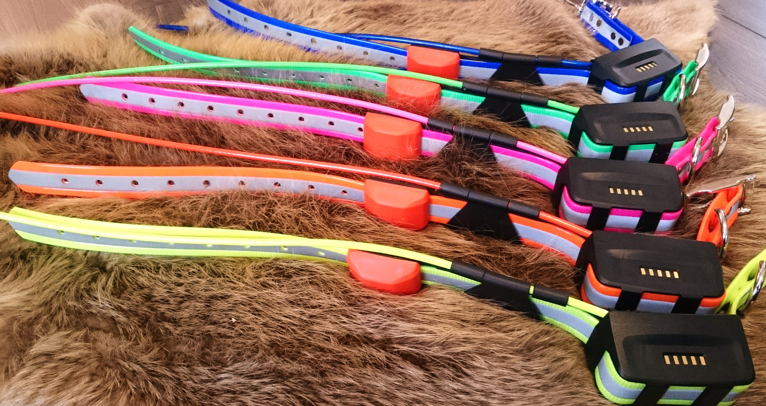 Utbyteshalsband till DC40, DC50 & T5 GUL / ONE SIZE