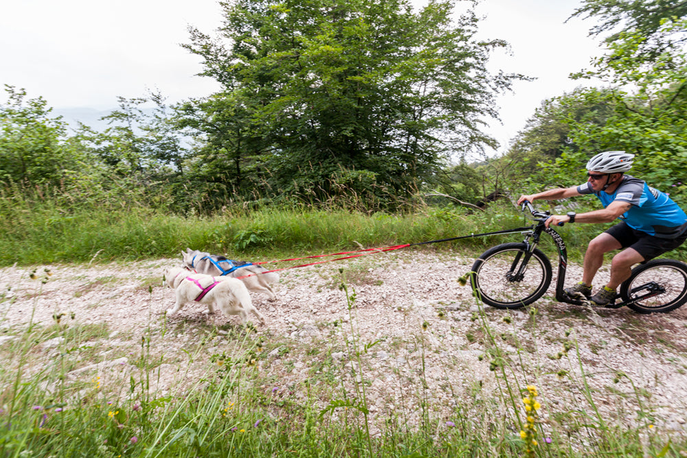 Sled Pro Dragsele BLÅ / S