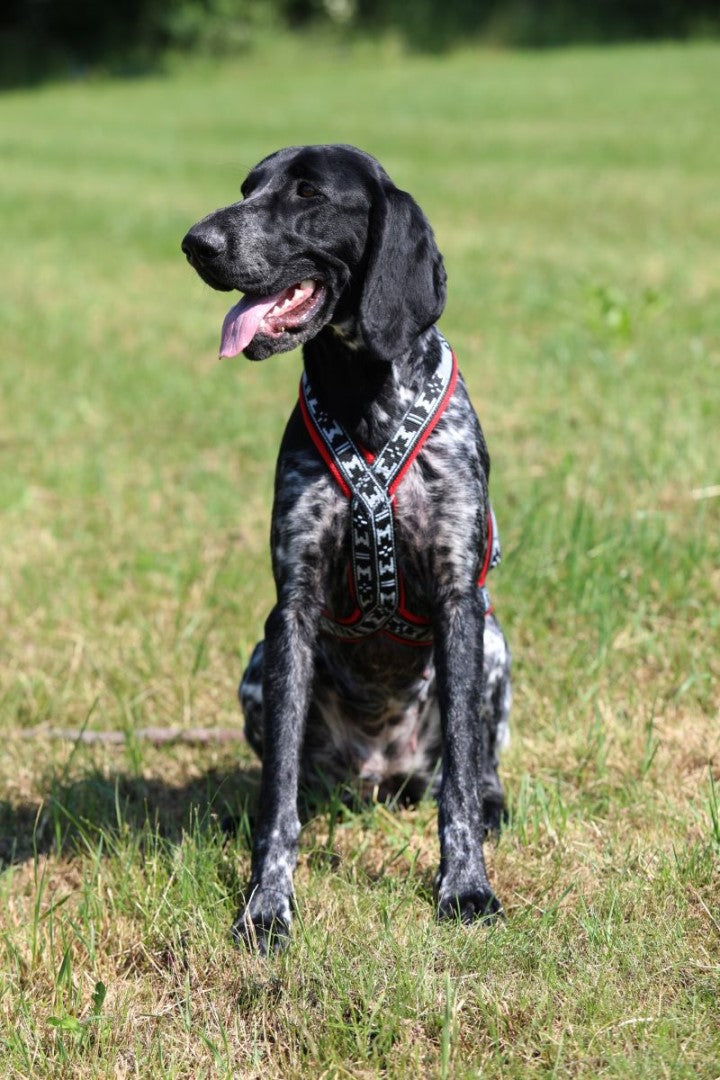 Run Long Sele RÖD / XS