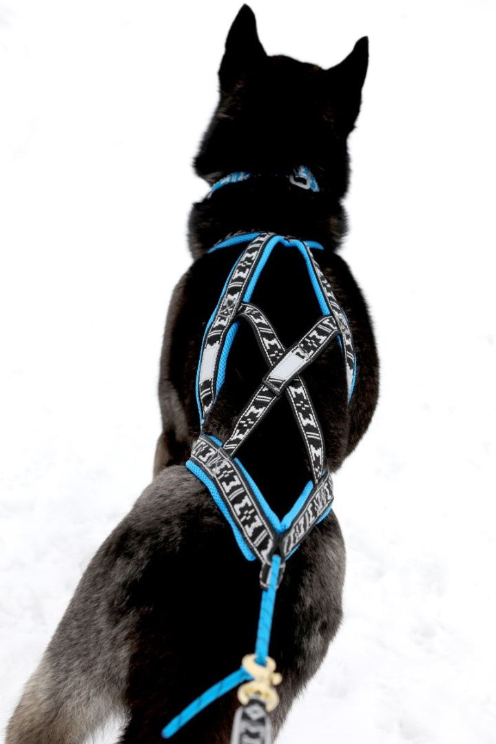 Run Long Sele ALPINBLÅ / XS