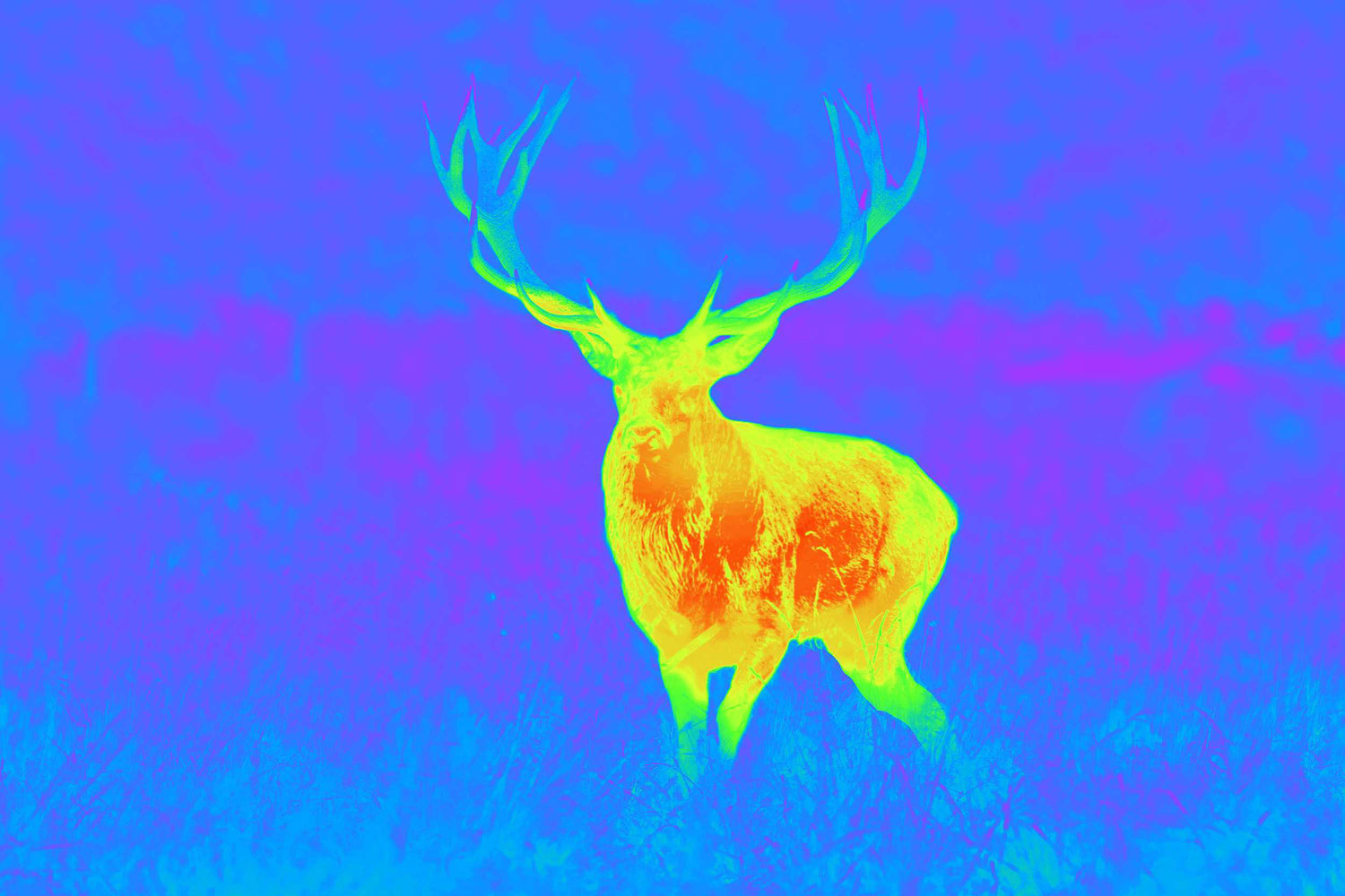 Spectra TI35 Thermial ONE SIZE