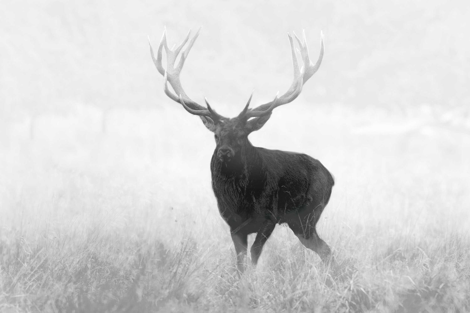 Spectra TI35 Thermial ONE SIZE