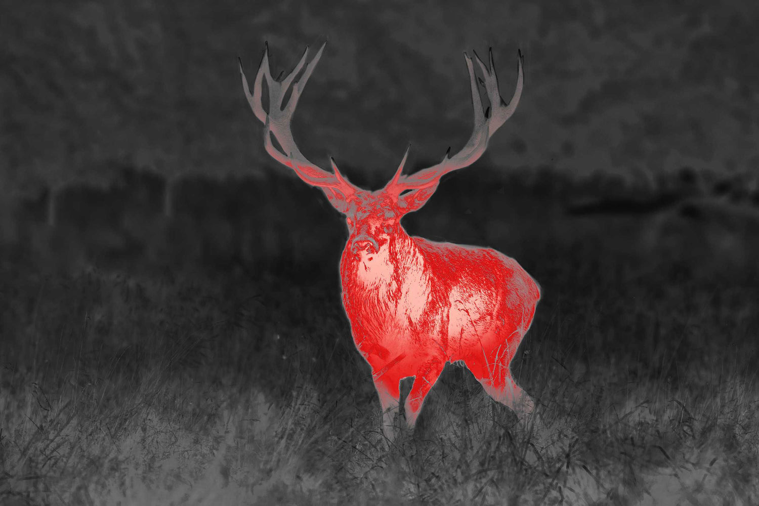 Spectra TI35 Thermial ONE SIZE