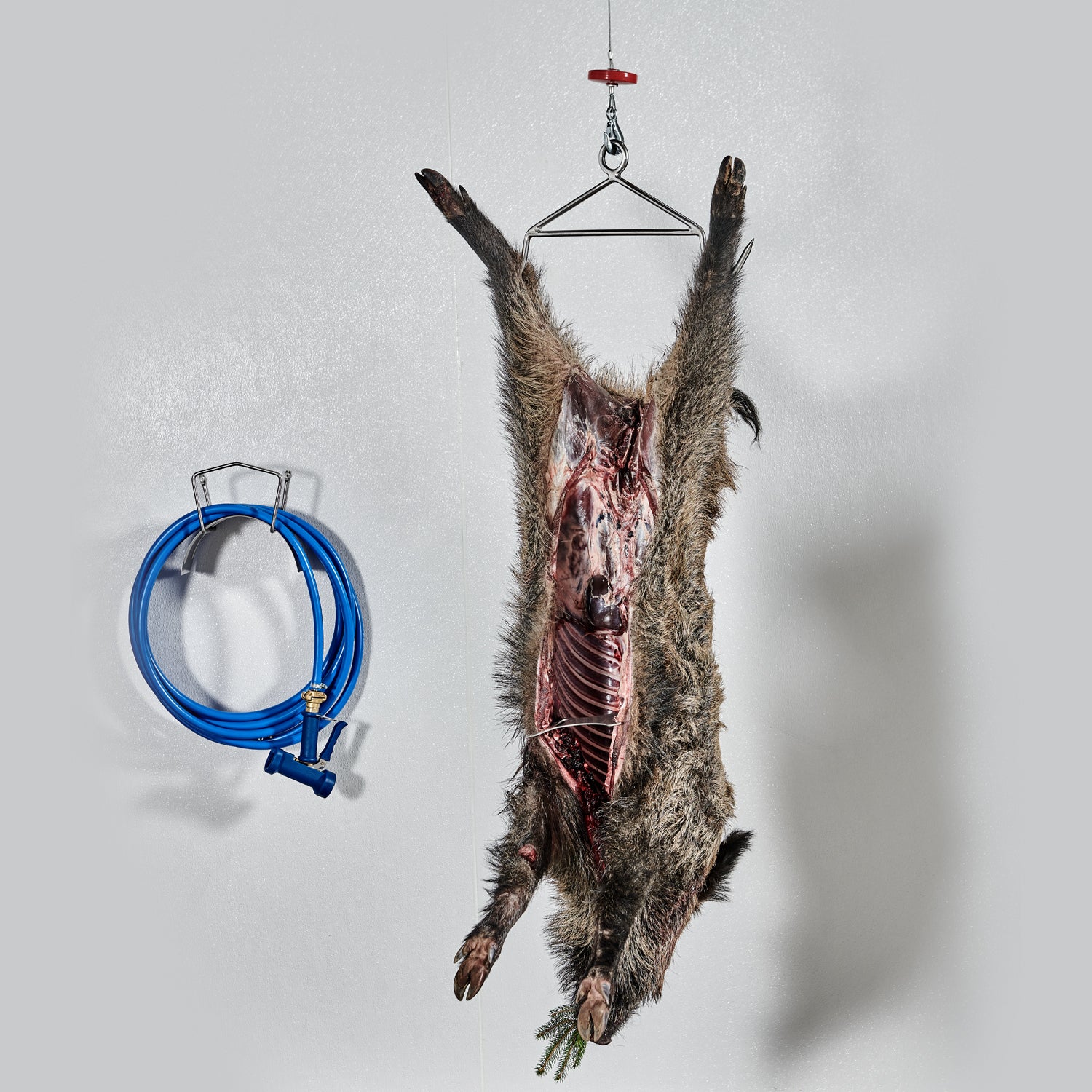 Slaktgalge 350mm ONE SIZE