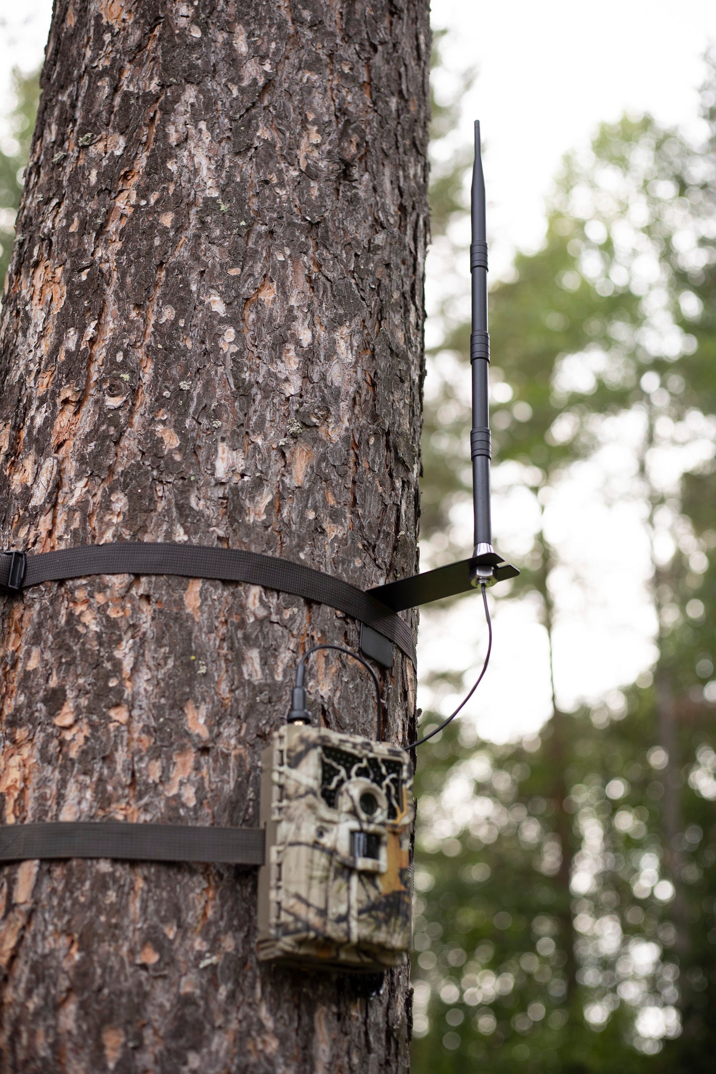 Booster 4G / 3G / 2G antenn ONE SIZE