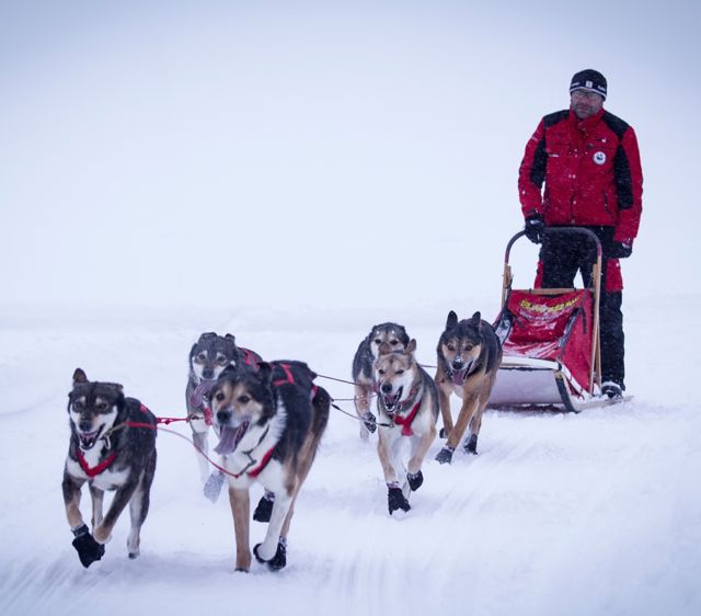 X-Back Racing Dragsele RÖD / S/M