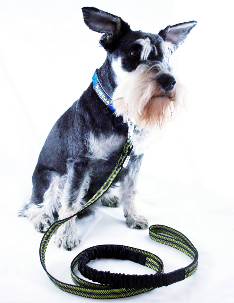 Halsband Easy Fit - Small ONE SIZE