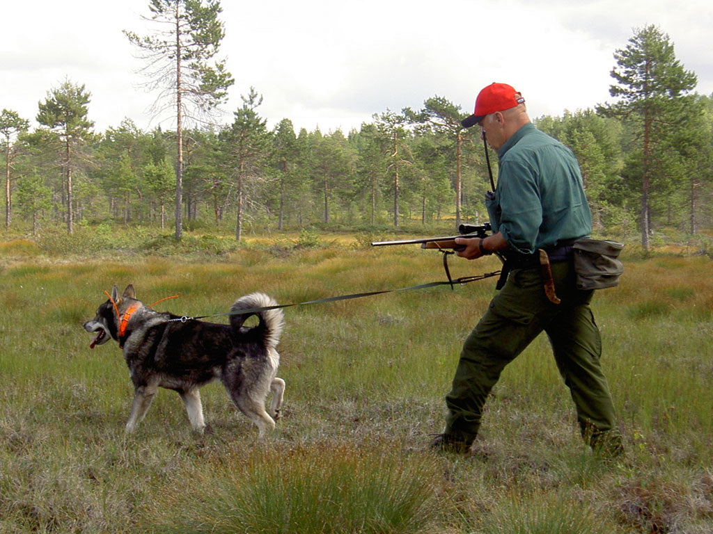 Softbelt Standard SVART / X1 (MJUKARE DÄMPNING)