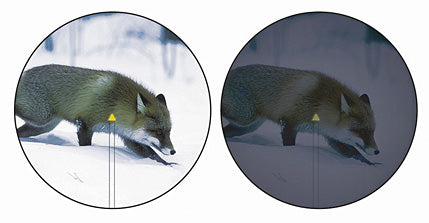 Accupoint 5-20x50 BAC-TRIANGEL - RÖD