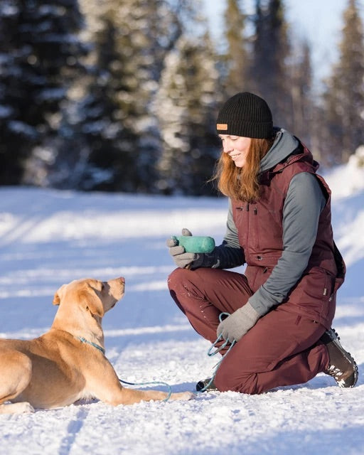 Byxa Wilda Stretch Shell Dam EARTH PLUM / 36