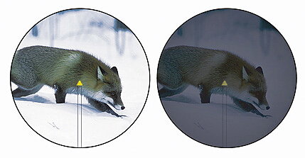 Trijicon Accupoint 5-20x50 BAC-TRIANGEL - RÖD