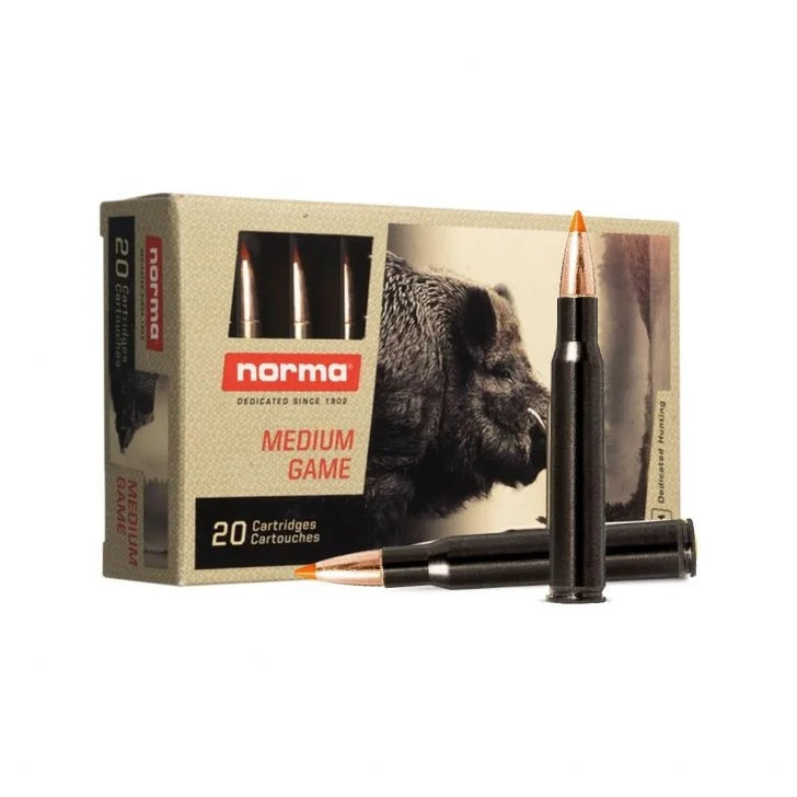 Tipstike Silencer .30-06