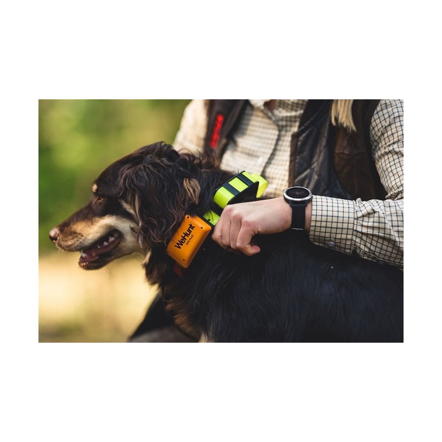 GPS Plus Hundpejl EN STL