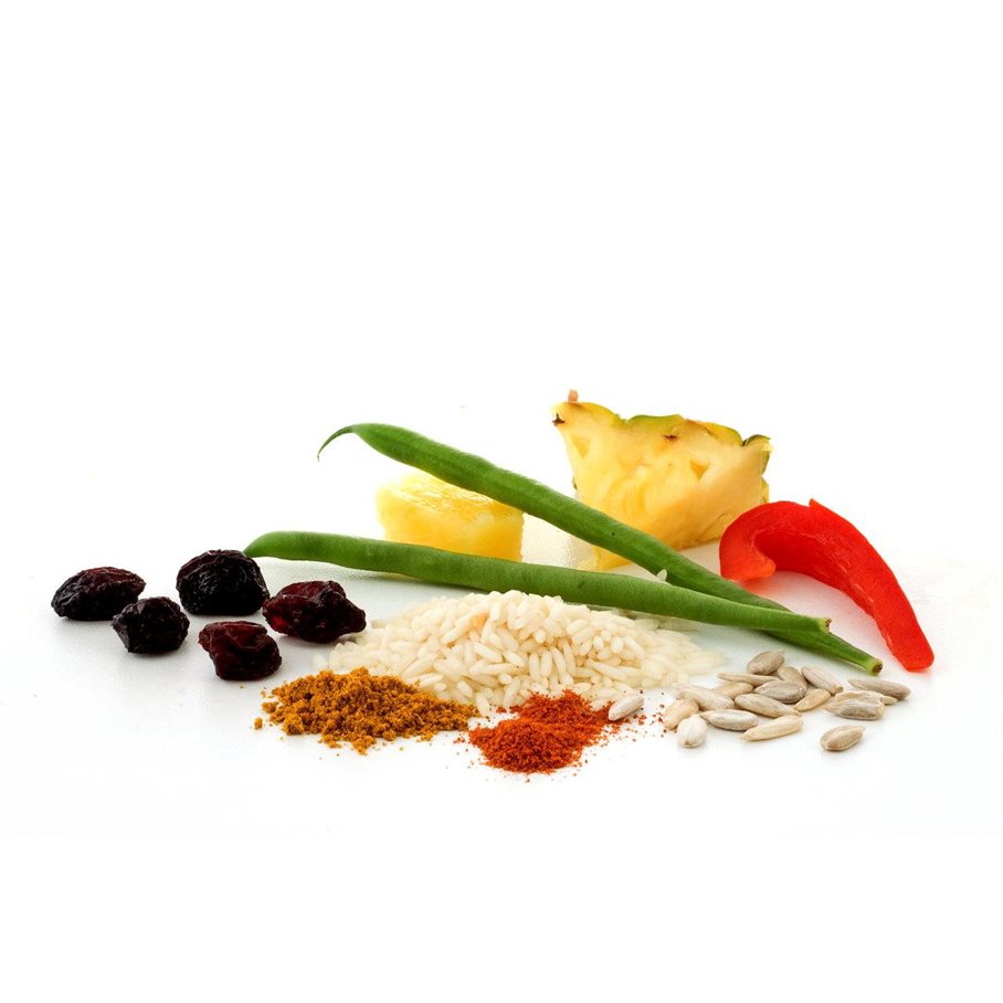 Frystorkad Mat Curry Fruit Rice EN STL