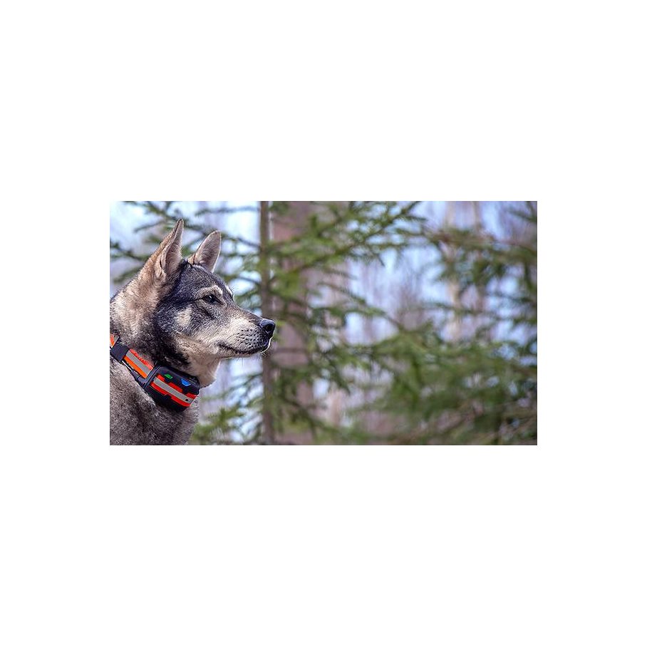 Artemis Easy GPS inkl SIM 1 år EN STL