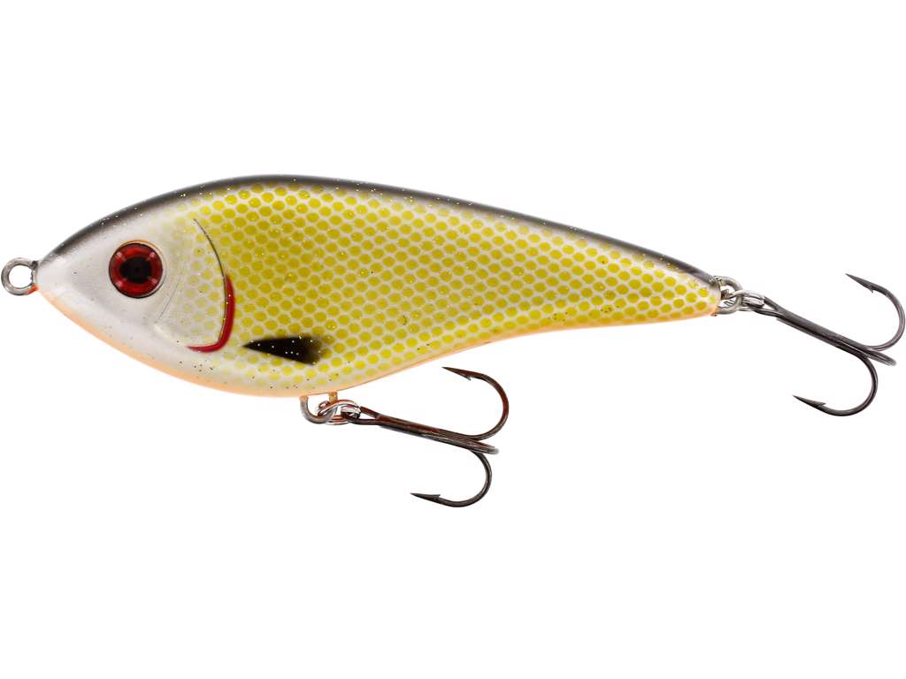 Swim 15 cm Jerkbete OFFICIAL ROACH / SUSPENDING