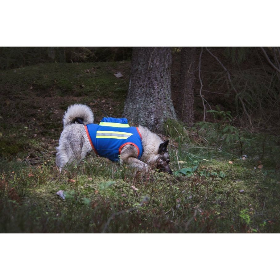 GPS Hundväst BLÅ / STL 0