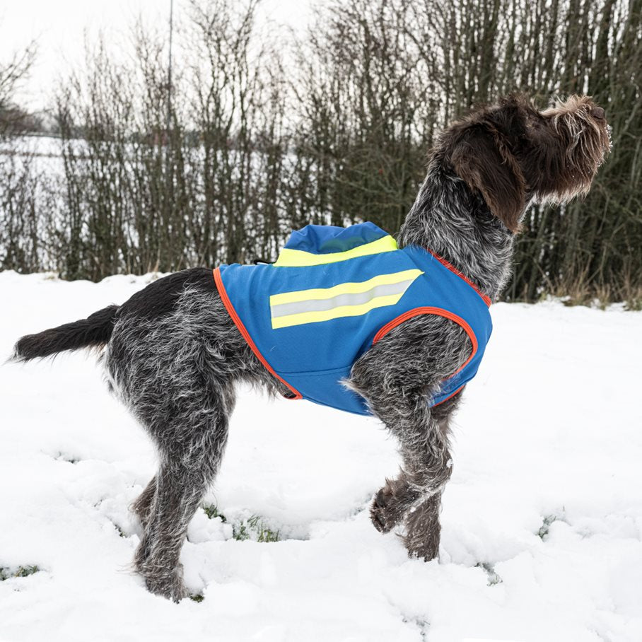 GPS Hundväst BLÅ / STL 1