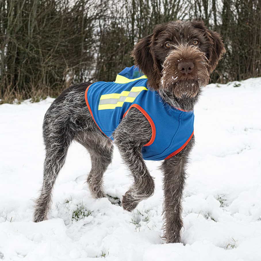 GPS Hundväst BLÅ / STL 2