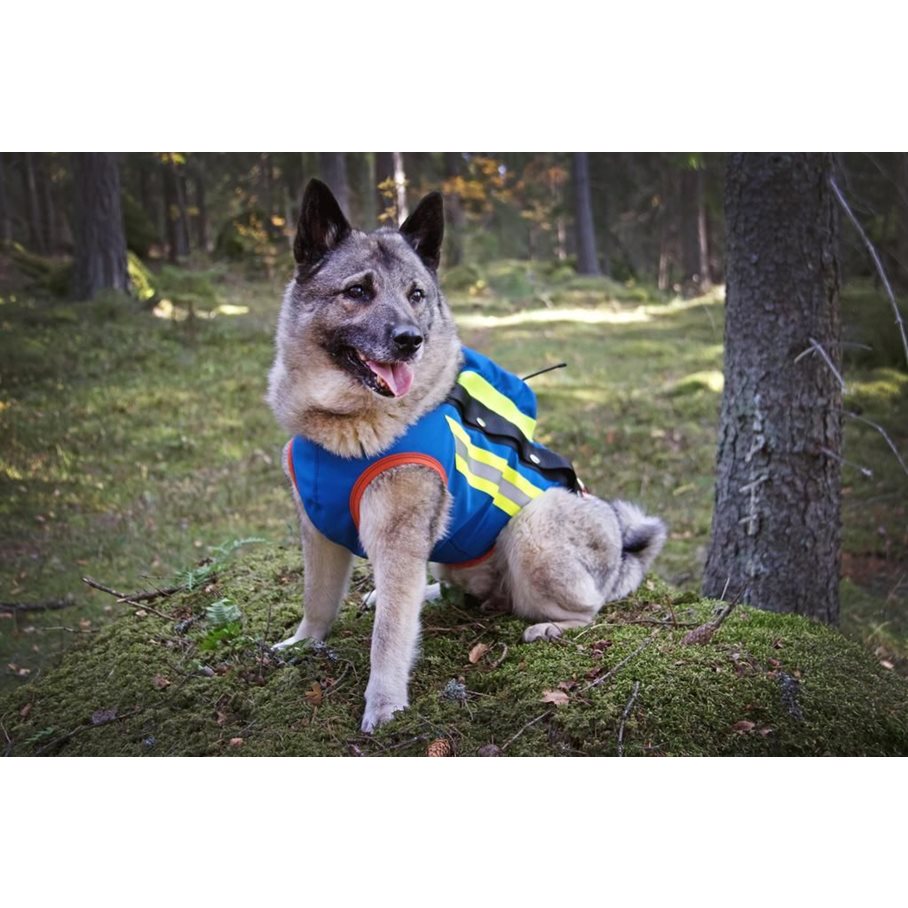GPS Hundväst BLÅ / STL 6