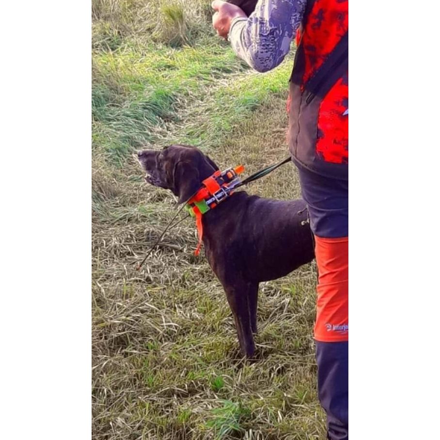 Halsband För 2 GPS S