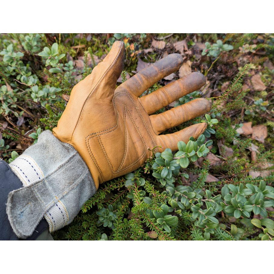 Skullman Glove NATURGUL / 9