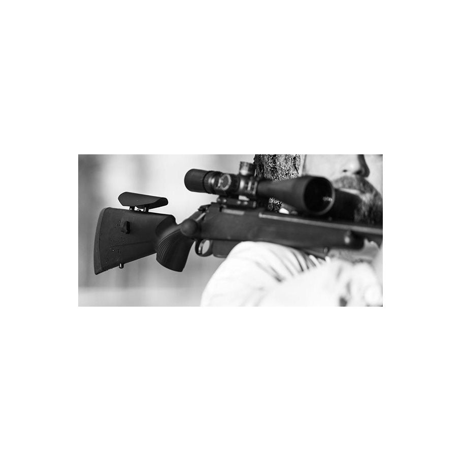 CR1 Justerbar Kolvkam BLASER R93