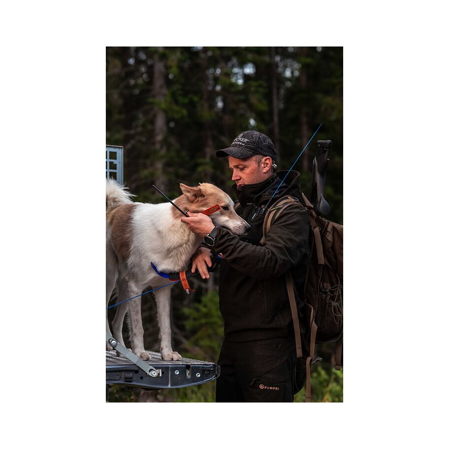 Loden Byxa GRÖN / 50