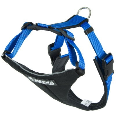 Joggingsele BLÅ / XL