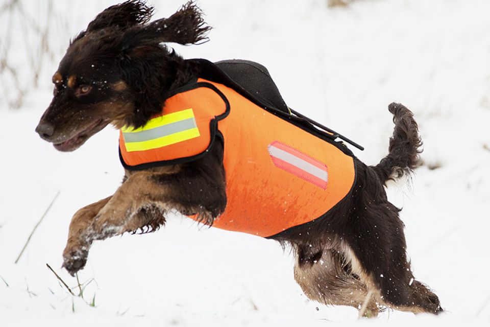 Väst GPS ORANGE / XXL