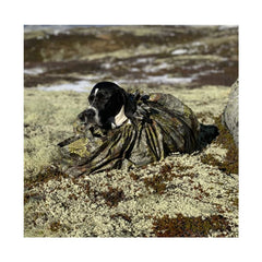 Primaloft isolering för hund upp till 40 kg OLIVE / EN STL