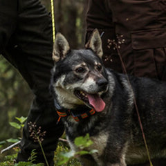 Artemis Easy GPS inkl SIM 1 år EN STL