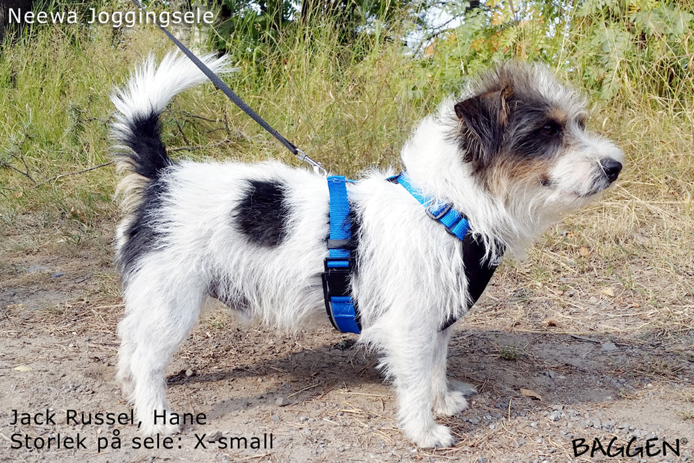 Joggingsele SVART / XS