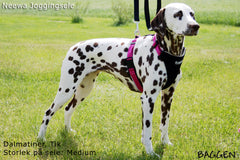 Joggingsele SVART / XS