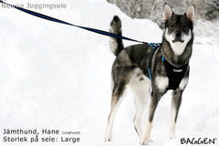 Joggingsele SVART / XS