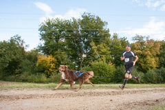 Sled Pro Dragsele BLÅ / S