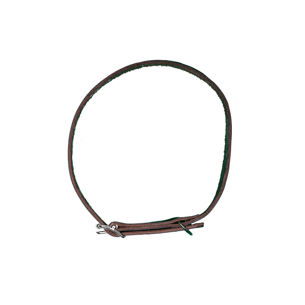 Hundhalsband 19mm SVART / ONE SIZE