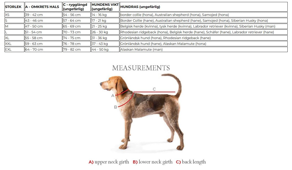 Run Long Sele ROSA / XS
