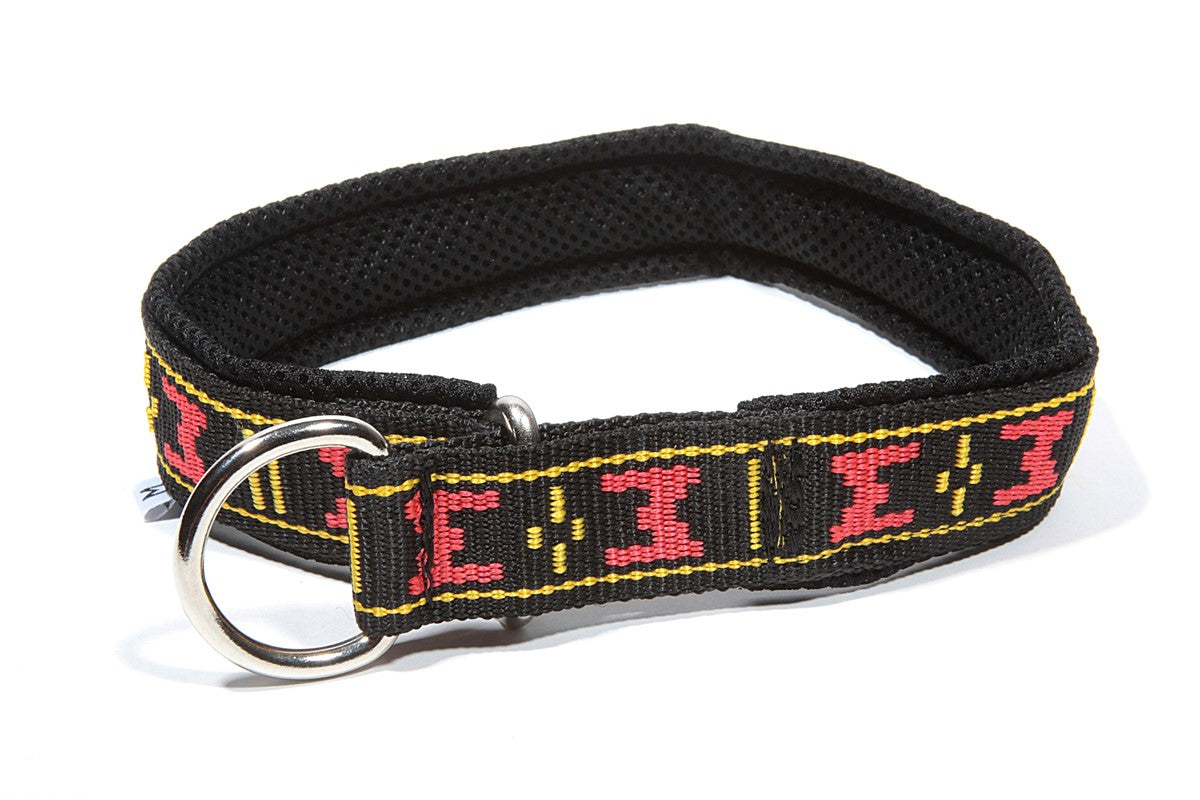 Fodrat Halsband RÖD / XS
