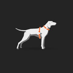 Line Cykel & Spårsele ORANGE / #1