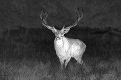 Spectra TI35 Thermial ONE SIZE