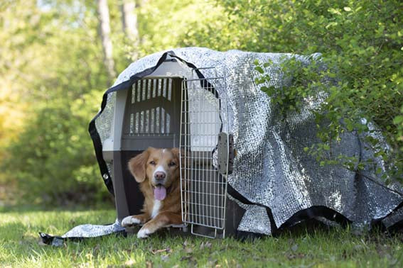 Silverduk PetNation 2,1 x 1,8 m ONE SIZE