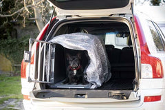 Silverduk PetNation 2,1 x 1,8 m ONE SIZE